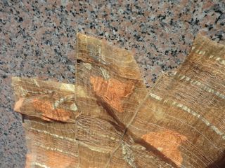 Tela de cortina (visillo)