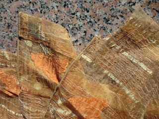 Tela de cortina (visillo)