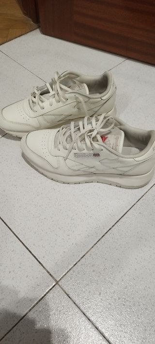 Reebok clasics