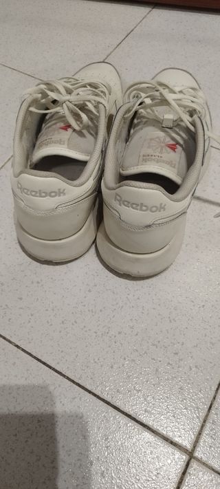 Reebok clasics
