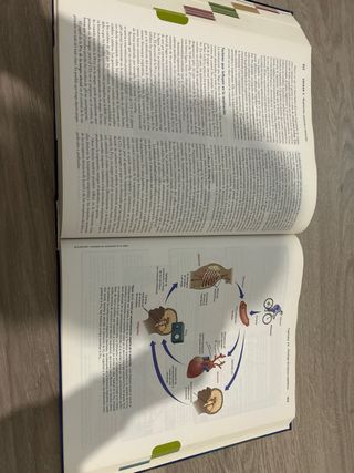 Anatomía y Fisiología + Evolve (Spanish Edition)