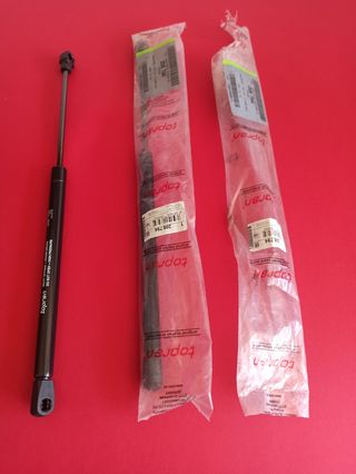 Amortiguadores hidráulicos para maletero y portón