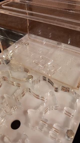 Hormigueros Ant House