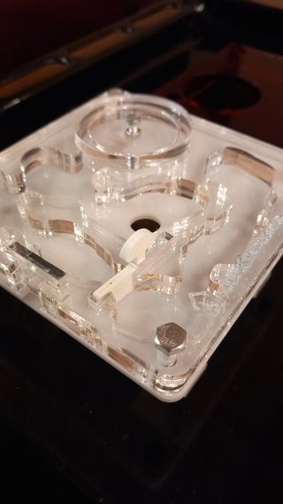 Hormigueros Ant House