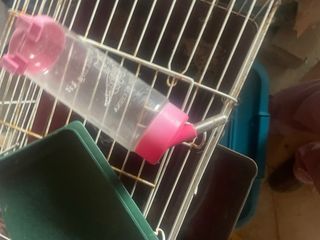 Jaula para animal  conejito codornices etc