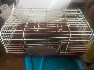 Jaula para animal  conejito codornices etc