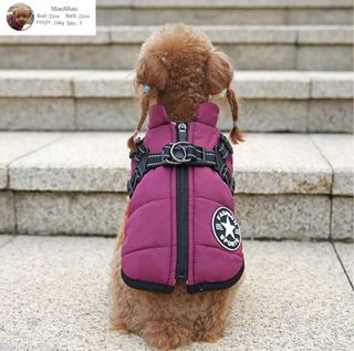 Chaqueta para perro de invirno con arnes