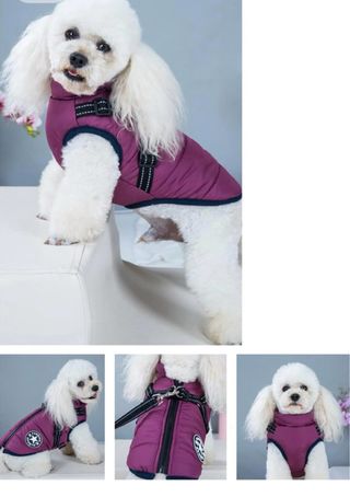 Chaqueta para perro de invirno con arnes
