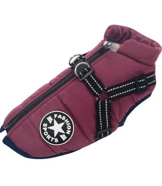 Chaqueta para perro de invirno con arnes