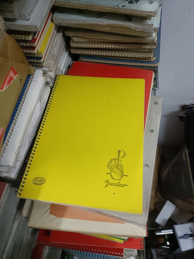 LIQUIDACIÓN! Lote libretas y hojas archivadores