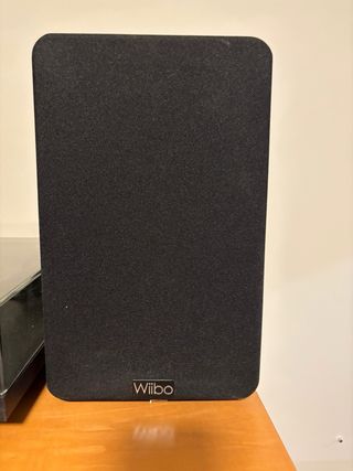 Altavoces Wiibo neo 100