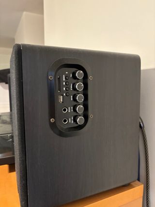 Altavoces Wiibo neo 100