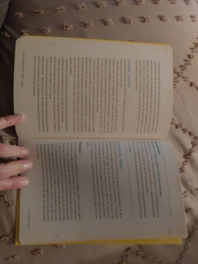 El embarazo mes a mes