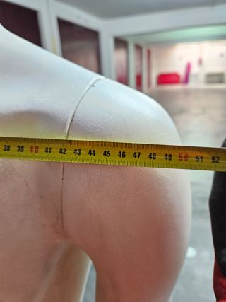 Manequim masculino busto