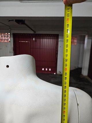 Manequim masculino busto