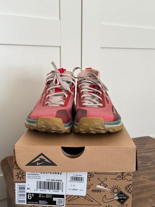 Nike Pegasus Trail 4 Gore-Tex mujer