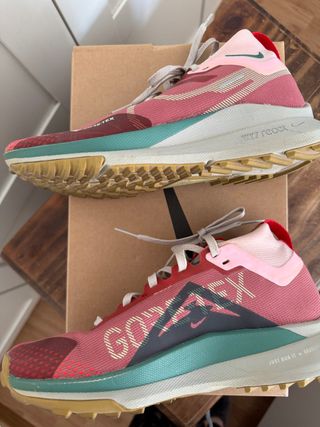 Nike Pegasus Trail 4 Gore-Tex mujer