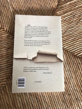 La espada de la palabra