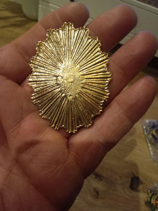 PLACA GUARDA SEGURIDAD JEFE EQUIPO