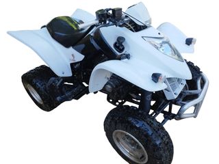 KYMCO KXR 250