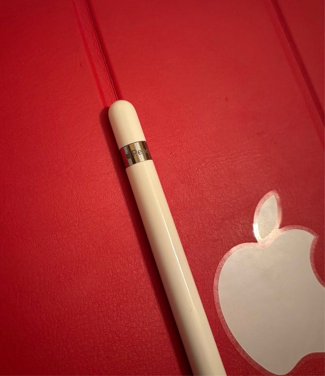 Ipad pro celular muy nuevo