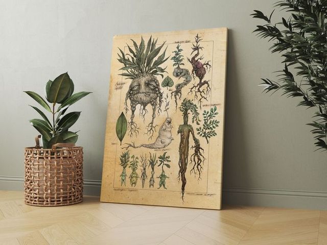 2 Póster de mandragora de Harry potter