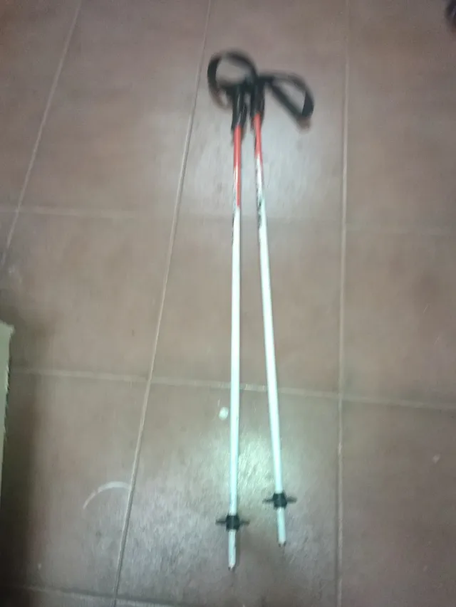 Esquí niño con bastones y casco