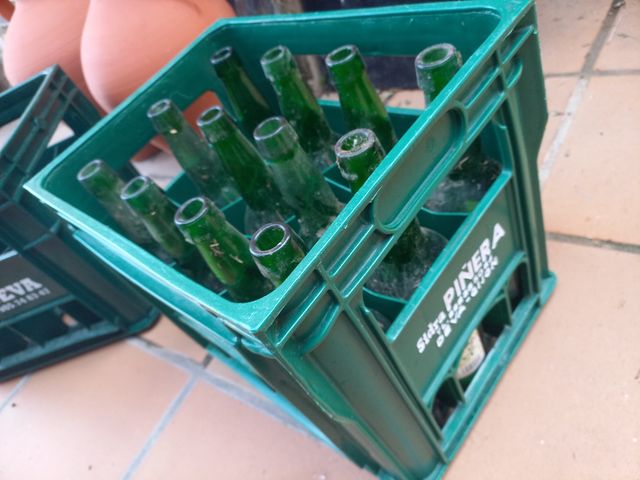 Cajas botellas  sidra