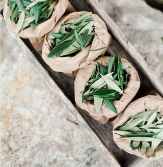 Hojas de olivo para celebraciones y eventos