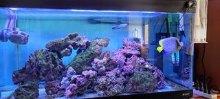 Solo vasca  circa 200 lt