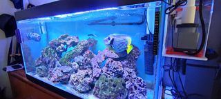 Solo vasca  circa 200 lt