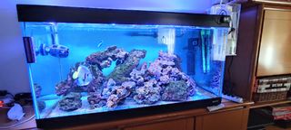 Solo vasca  circa 200 lt