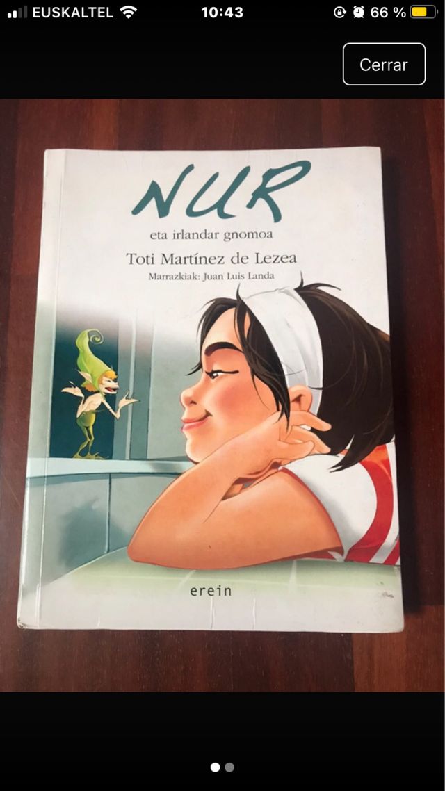 Nur eta irlandar gnomoa