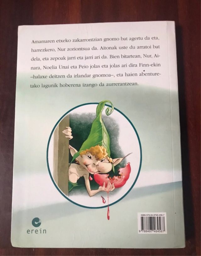 Nur eta irlandar gnomoa