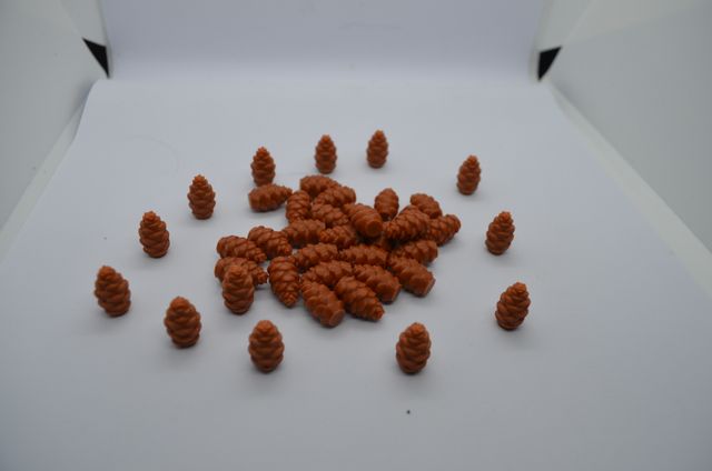 Pine Cones Cascadia Boardgame