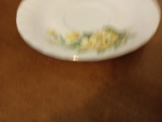 2 platos de café Royal Kent