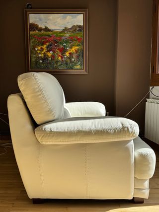 Sofá de Piel Blanco 2 plazas