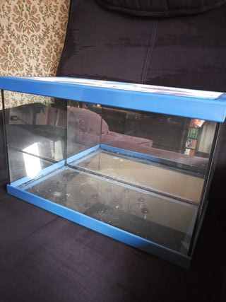 Bonito acuario en color azul