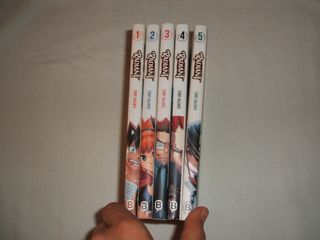 Manga Radiant tomos 1 al 5 (español)