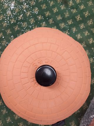 Horno para pizza eléctrico profesional con tapa