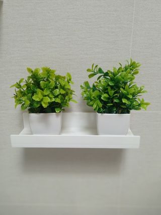 Dos mini plantas artificiales en maceta