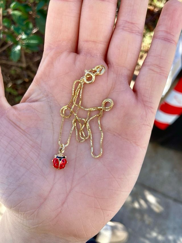 Collana con ciondolo a coccinella argento dorato