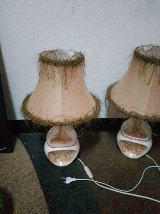 Amparas