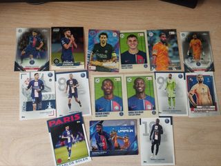 Lotes por equipos PSG