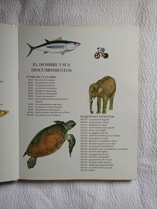 EL GRAN LIBRO DE LOS RECORDS
