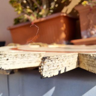 Staffe argentine . Vintage