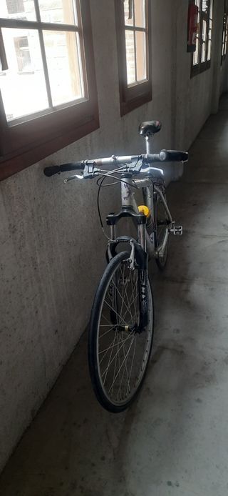 Bici monte Gary Fisher