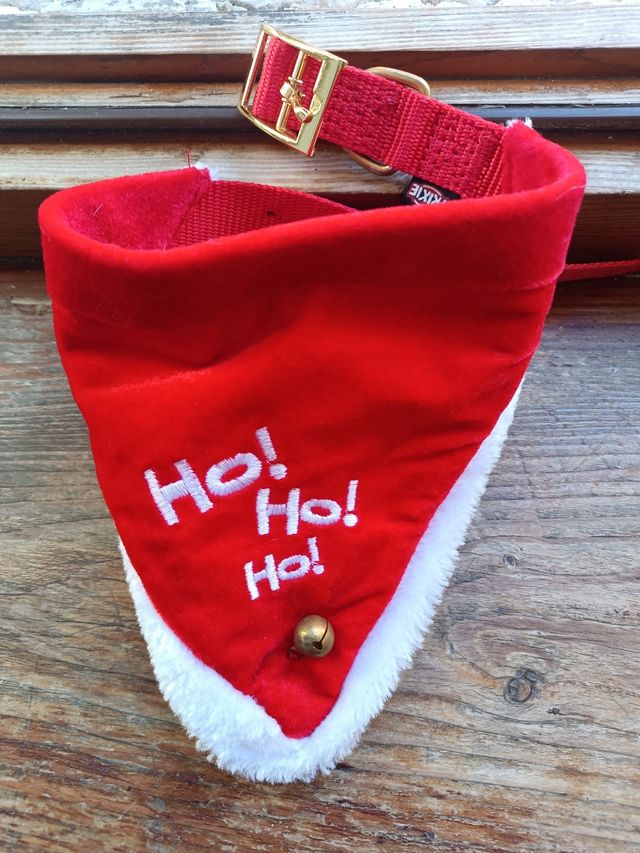 Kit festività per cane taglia media