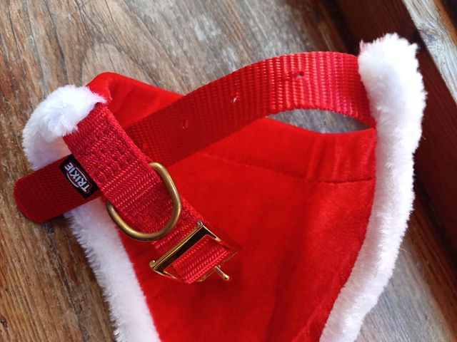 Kit festività per cane taglia media