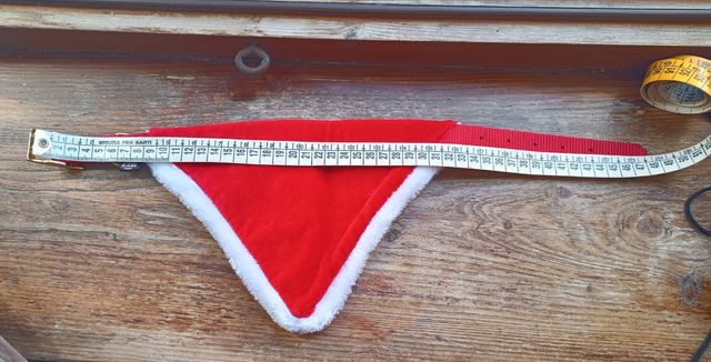 Kit festività per cane taglia media